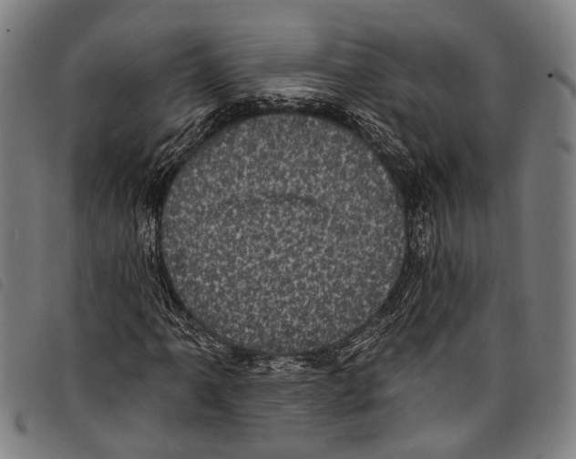 X0000097791061200804041230