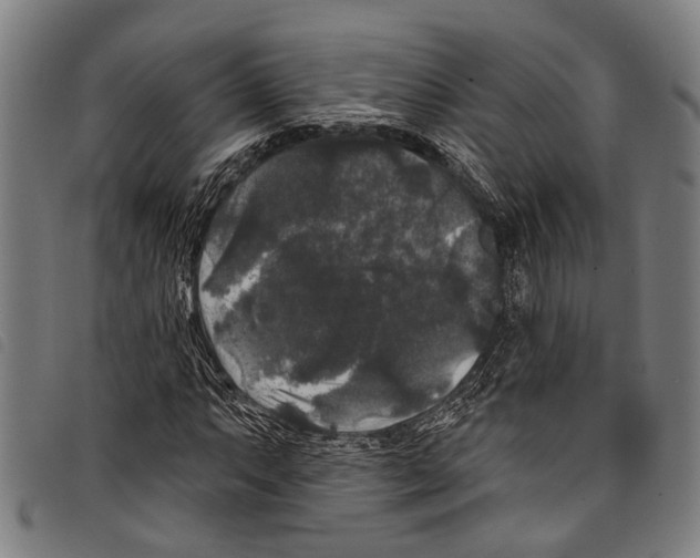 X0000097791063200804041230
