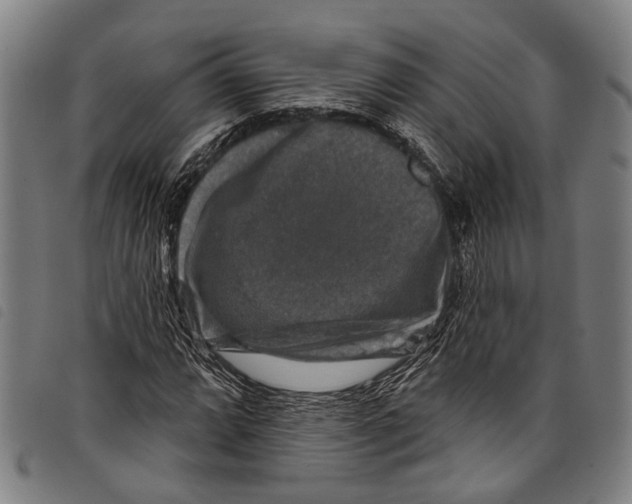X0000097791064200804041230