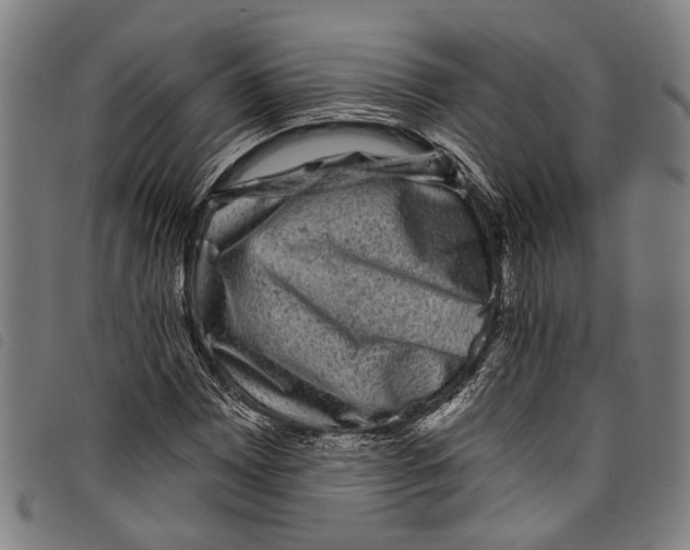 X0000097791065200804041230