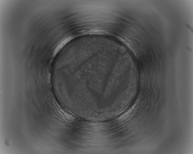 X0000097791066200804041230