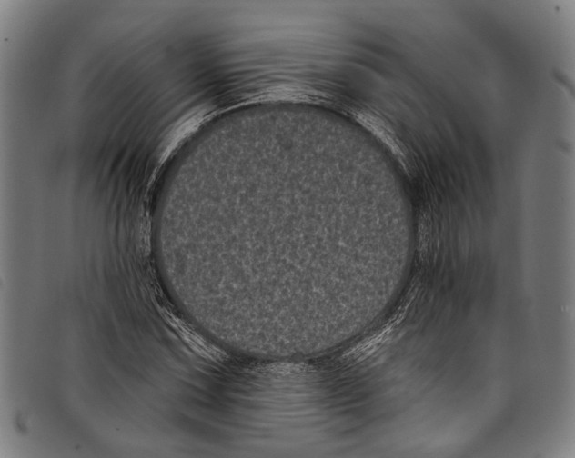 X0000097791067200804041230