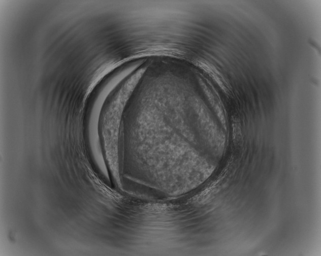 X0000097791069200804041230