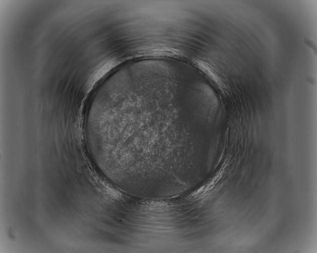 X0000097791071200804041230