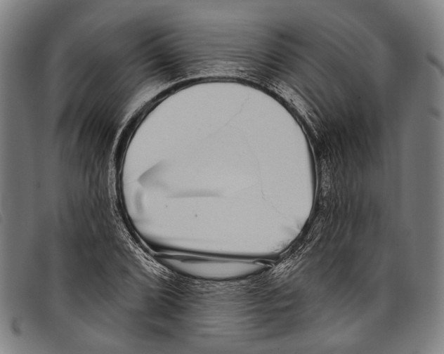 X0000097791072200804041230