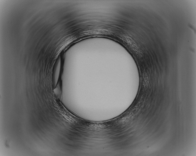X0000097791073200804041230