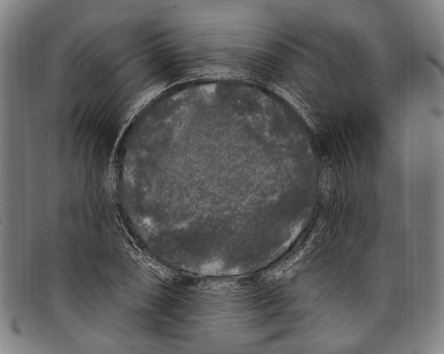 X0000097791074200804041230