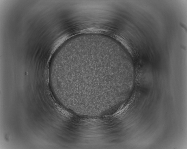 X0000097791075200804041230
