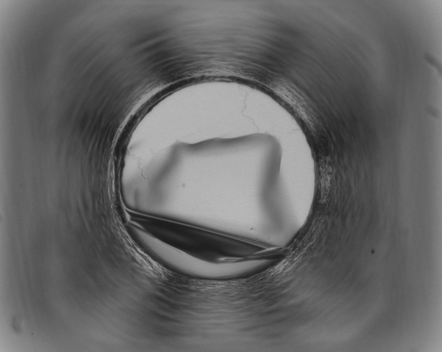X0000097791076200804041230