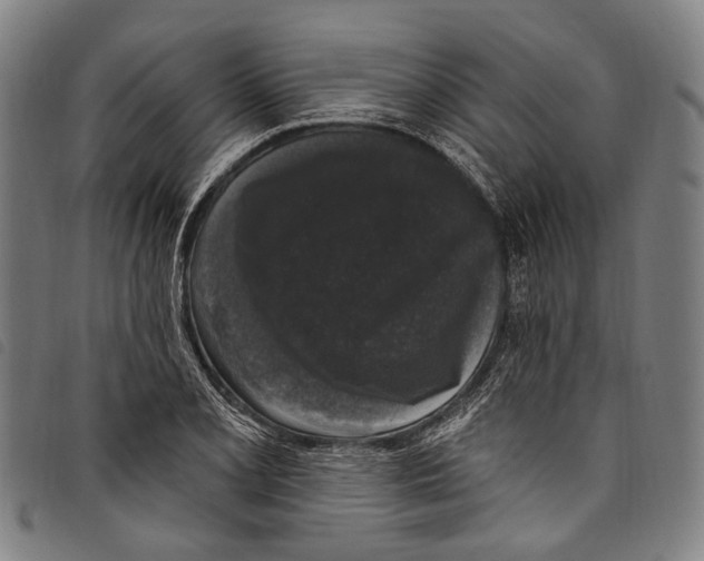 X0000097791077200804041230