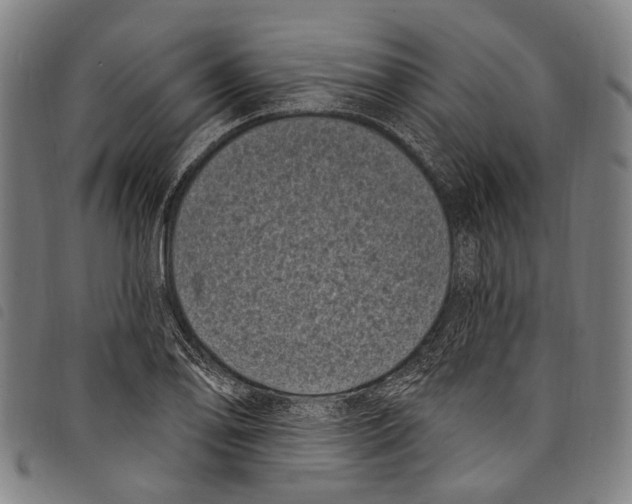 X0000097791078200804041230