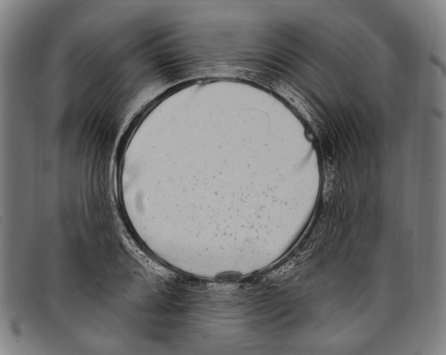 X0000097791080200804041230