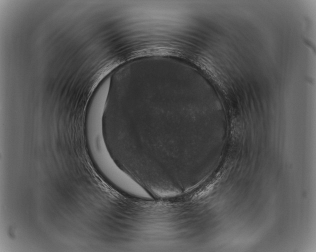 X0000097791081200804041230