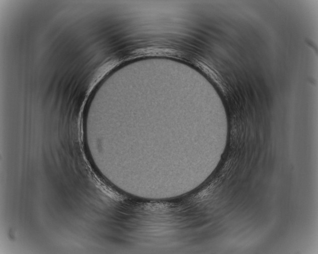 X0000097791082200804041230