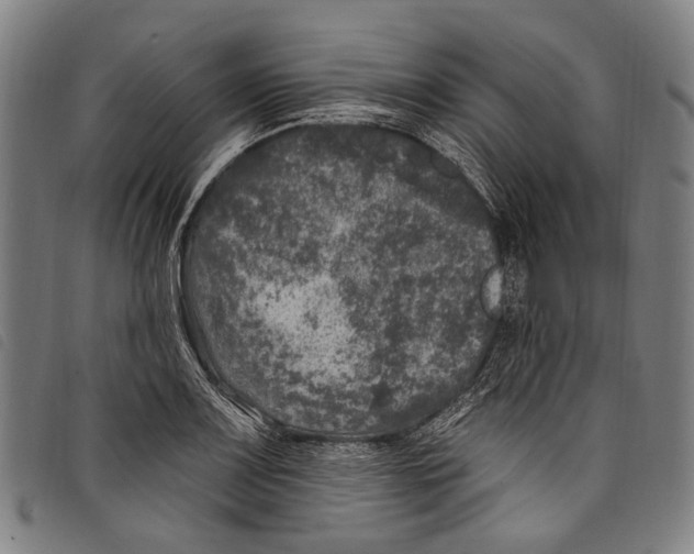 X0000097791083200804041230