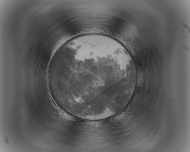 X0000097791086200804041230
