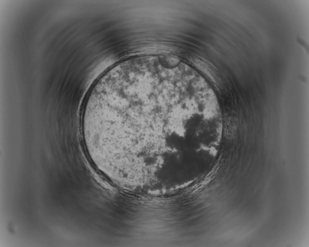 X0000097791087200804041230