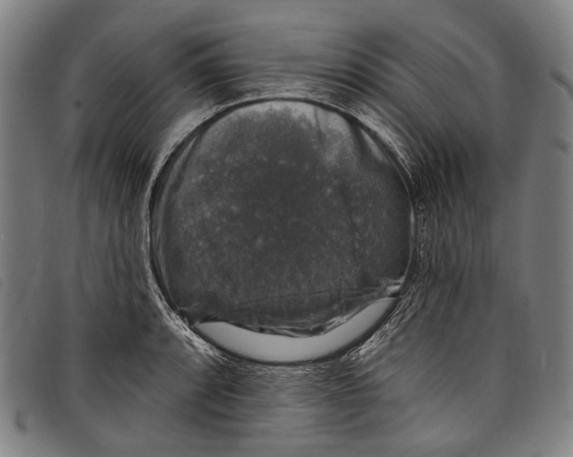 X0000097791088200804041230