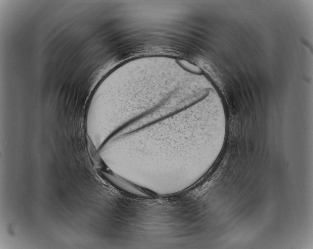 X0000097791089200804041230