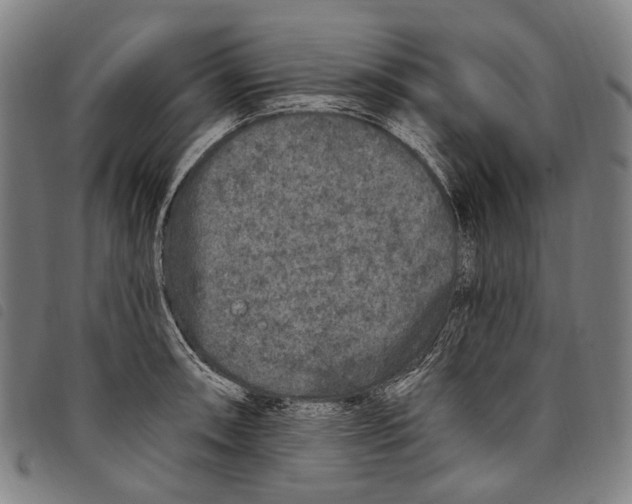 X0000097791090200804041230