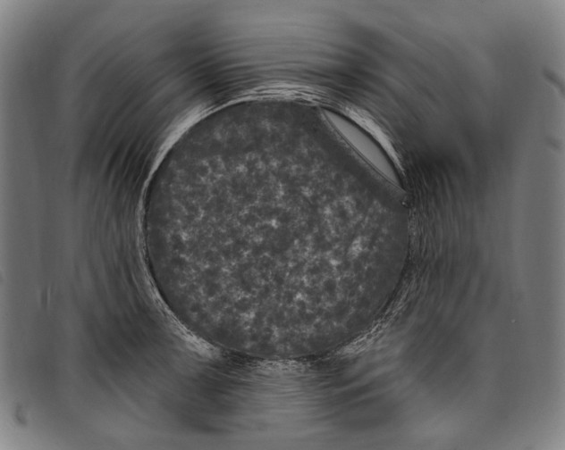X0000097791091200804041230