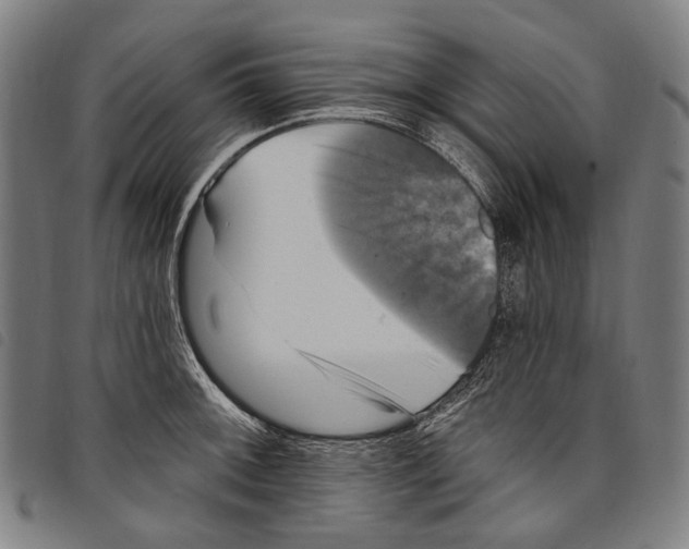 X0000097791092200804041230