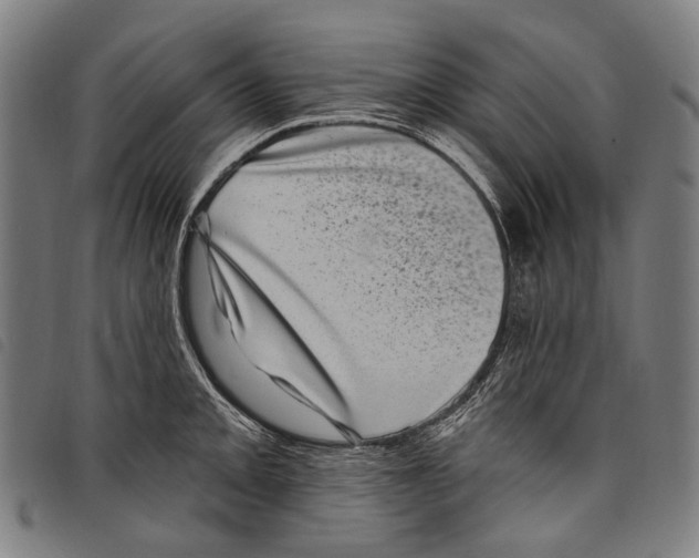 X0000097791093200804041230