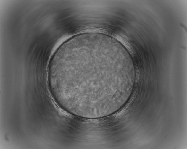 X0000097791094200804041230