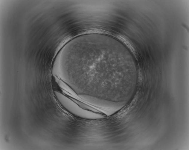 X0000097791097200804041230