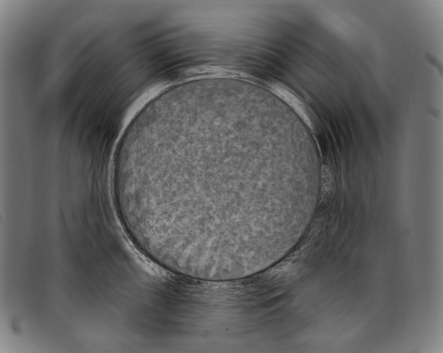 X0000097791098200804041230
