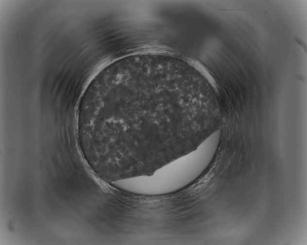 X0000097791099200804041230