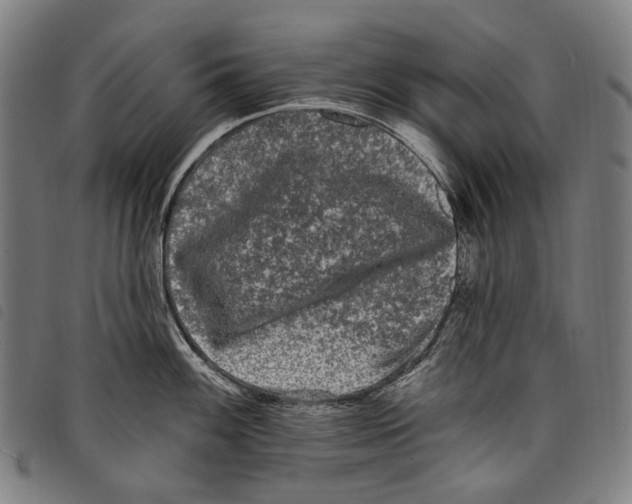 X0000097791100200804041230