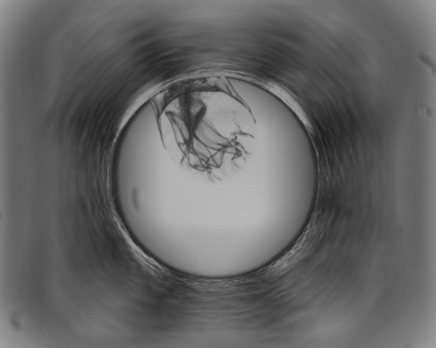 X0000097791101200804041230