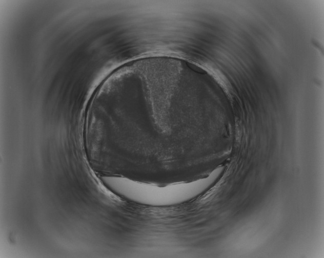 X0000097791102200804041230