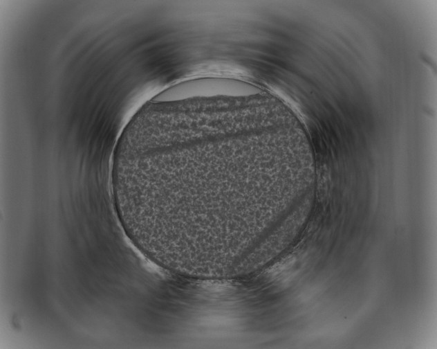 X0000097791103200804041230