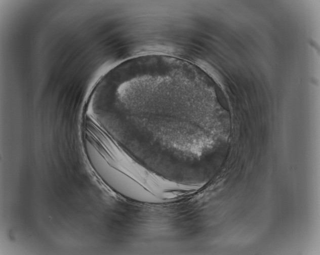 X0000097791104200804041230
