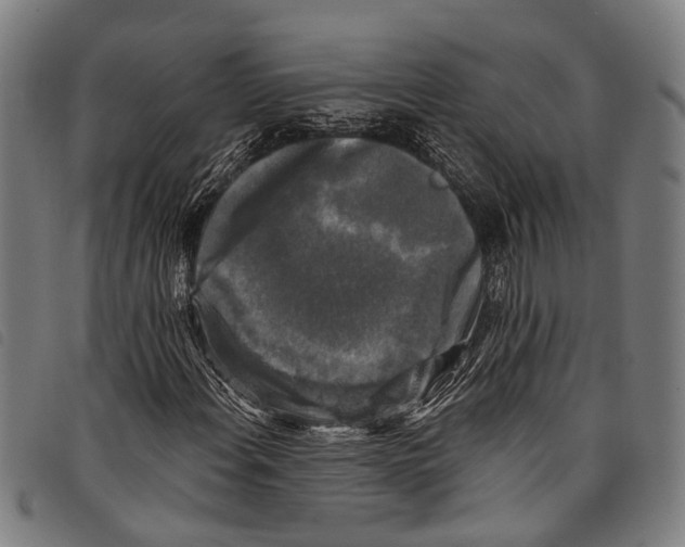 X0000097791108200804041229