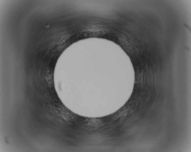 X0000097791109200804041229