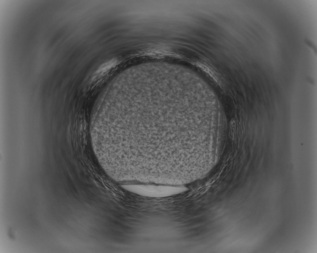 X0000097791111200804041229