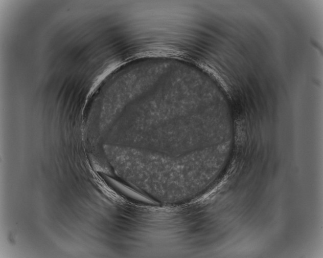 X0000097791114200804041229