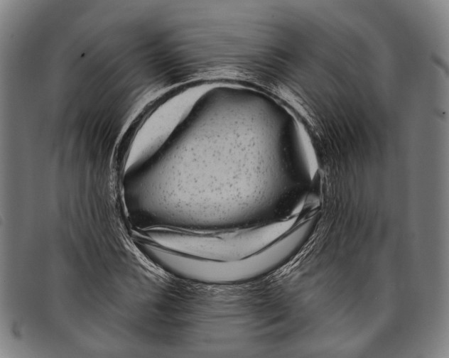 X0000097791116200804041229