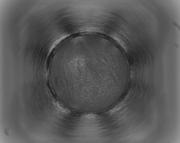 X0000097791117200804041229