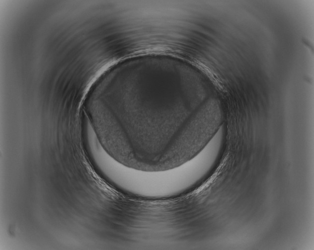 X0000097791118200804041229