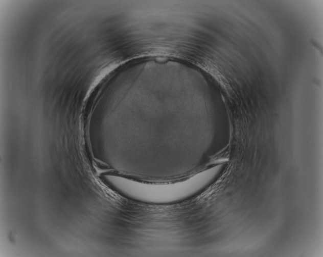 X0000097791120200804041229