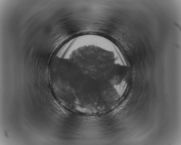 X0000097791121200804041229
