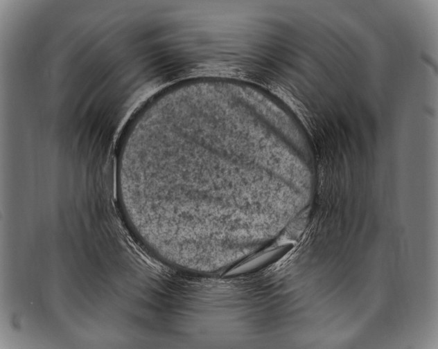 X0000097791123200804041229