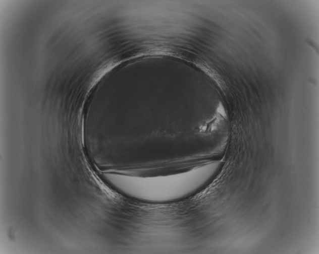 X0000097791127200804041230