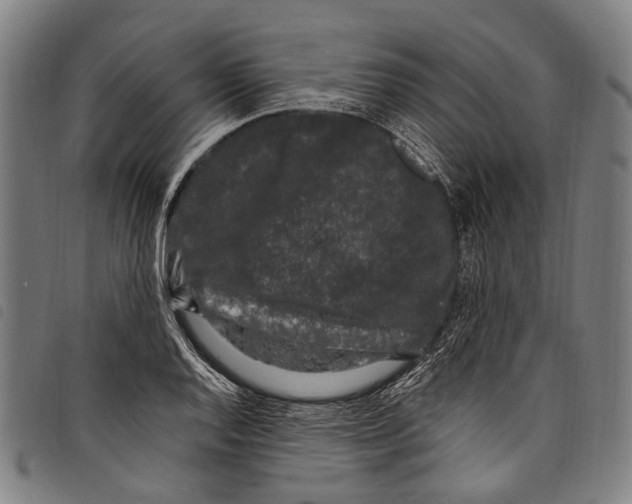 X0000097791128200804041230
