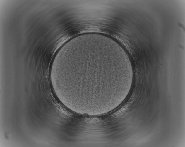 X0000097791129200804041230