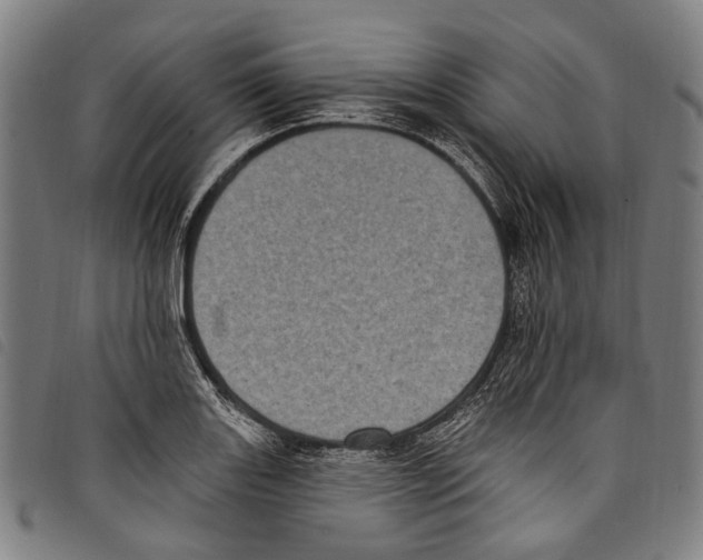 X0000097791131200804041230